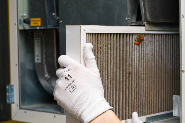 Best Professional Duct Cleaning Services  in Green Hill, TN